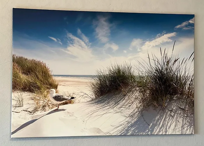 Haus-hus-an-de-diek-whg-04 Διαμέρισμα Sankt Peter-Ording